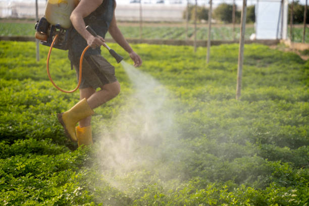 Best Affordable Pest Control Services  in Chadron, NE