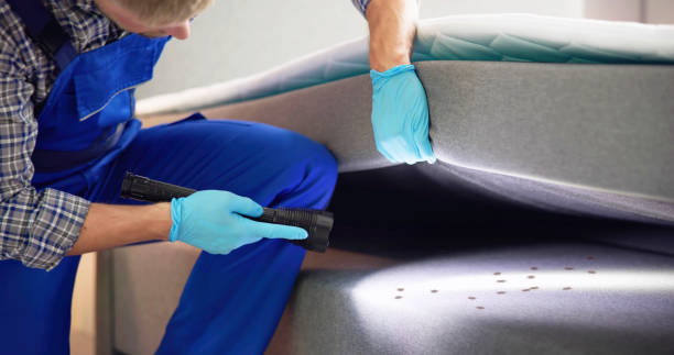 Best Flea Control Services  in Chadron, NE