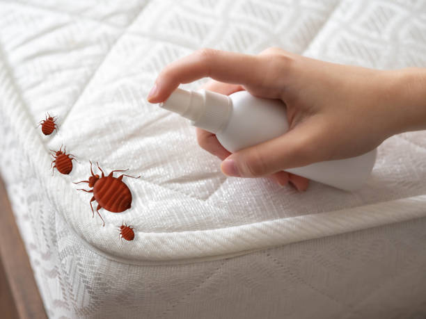 Best Residential Pest Control  in Chadron, NE