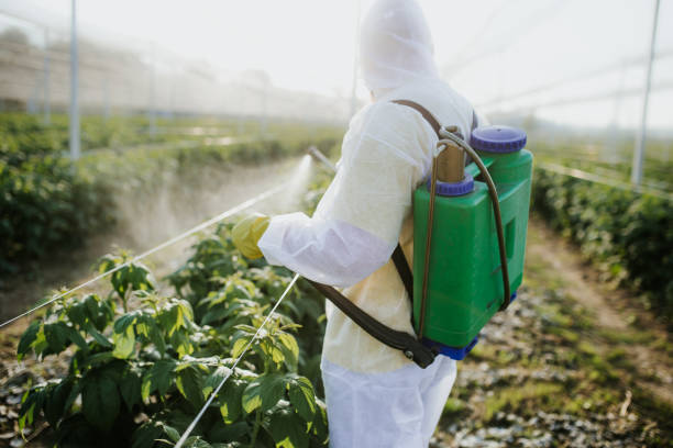 Best Local Pest Control Services  in Chadron, NE